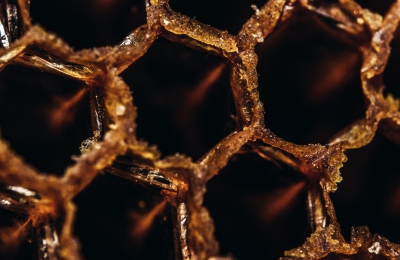 Honeycomb